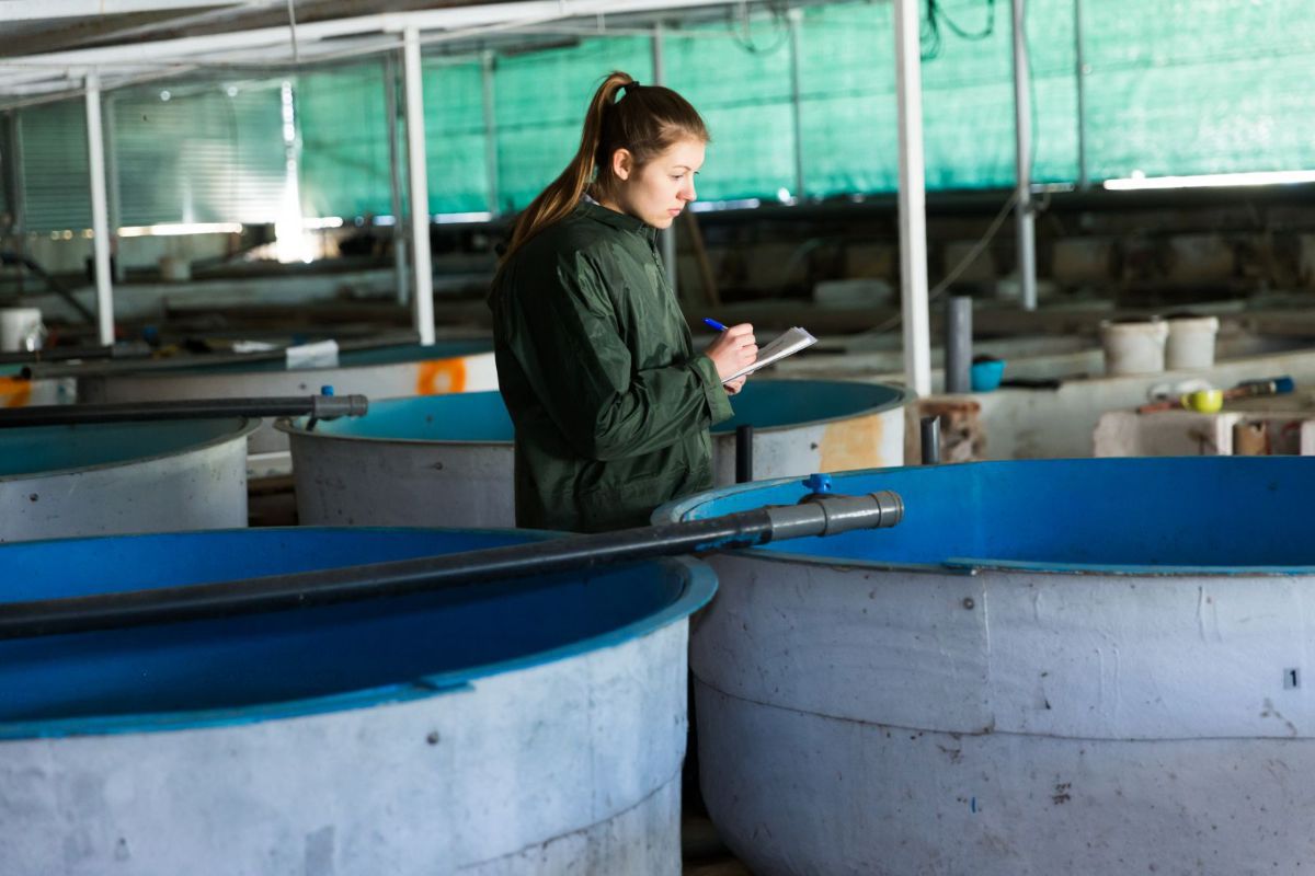 Woman inspecting containers at fish farm