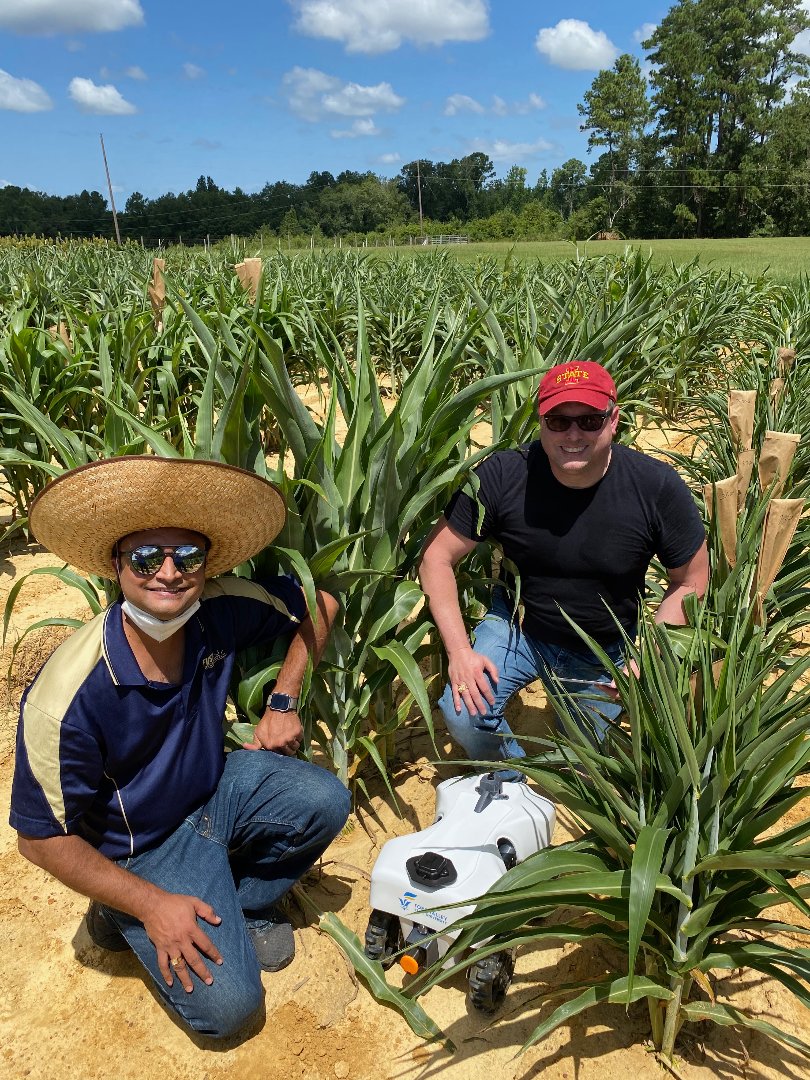 Dr. Somashekhar Punnuri, Fort Valley State University research assistant professor, is collaborating with several colleagues across the country to study strategies for management of the sugarcane aphid in sorghum.