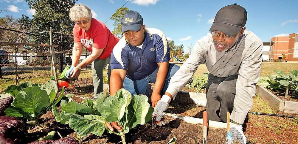 Joshua Dawson, (center) Fort Valley State University’s Lowndes County extension agent, assists Lowndes County Master Gardener Volunteers Annie Barbas (left) and John Gaston at Pinevale Elementary School in Valdosta, Georgia.