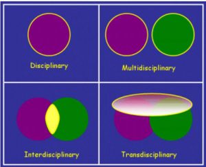 Image From http://www.hent.org/transdisciplinary.htm