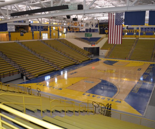 Wildcat Arena in the Health and Physical Education Complex