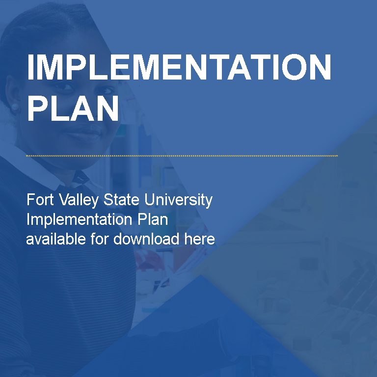 Implementation-Plan-copy