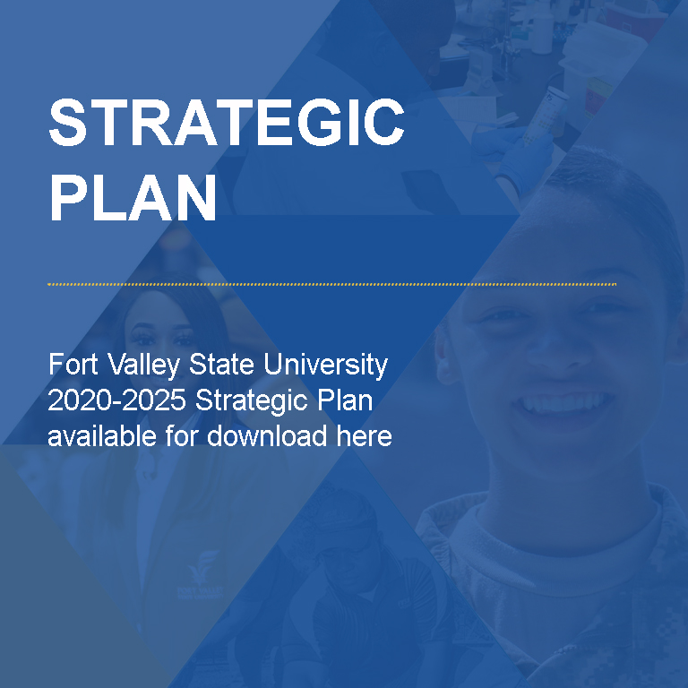Strategic-Plan-copy