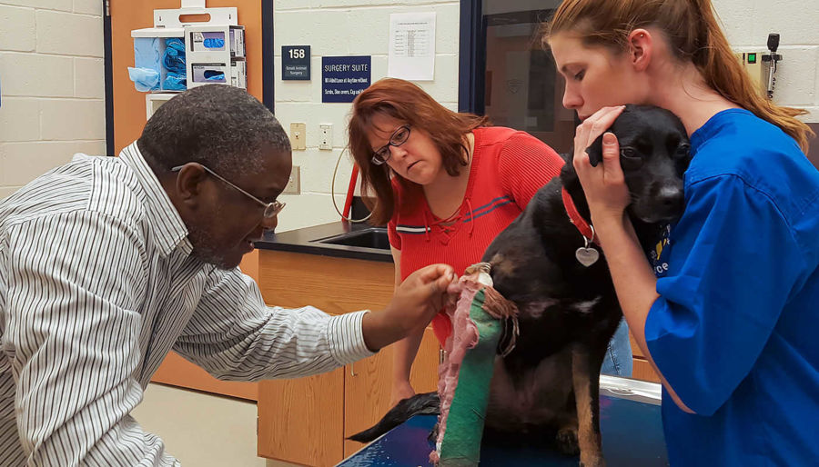 Student holds dog during a check up