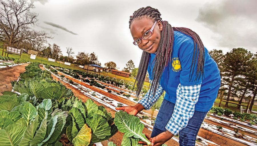 Person holds a piece of a vegetable while standing over a field of them.