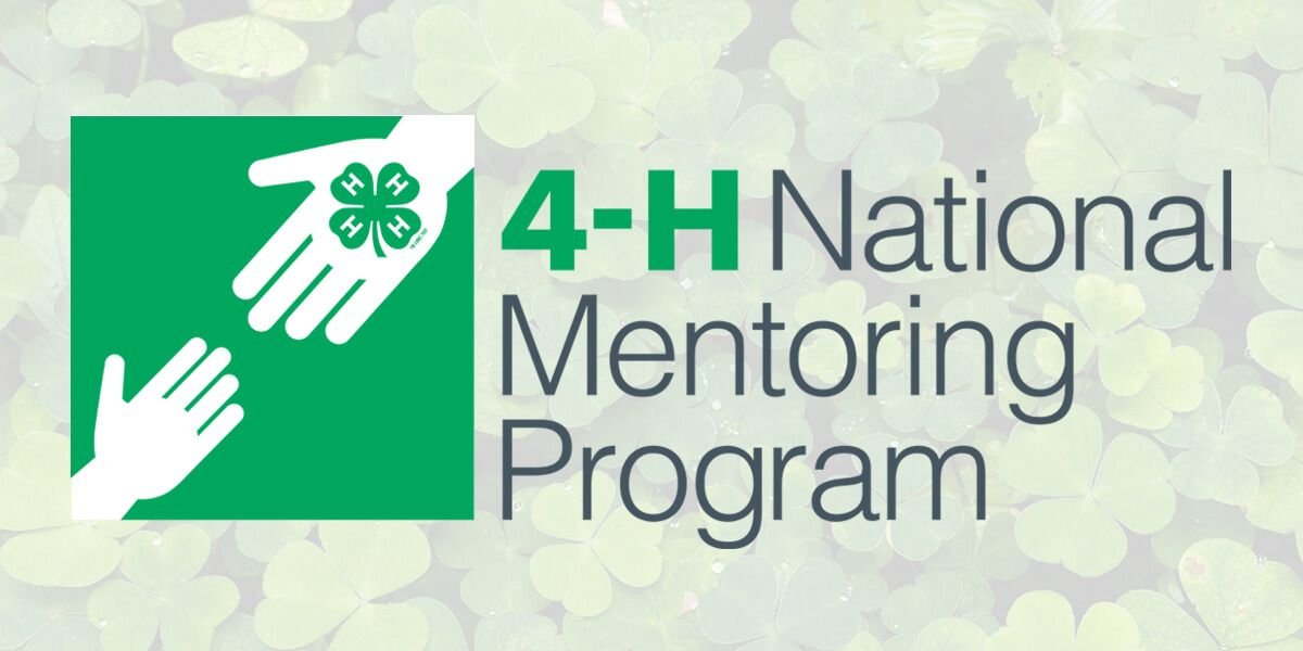 4-H National Mentoring Program Banner