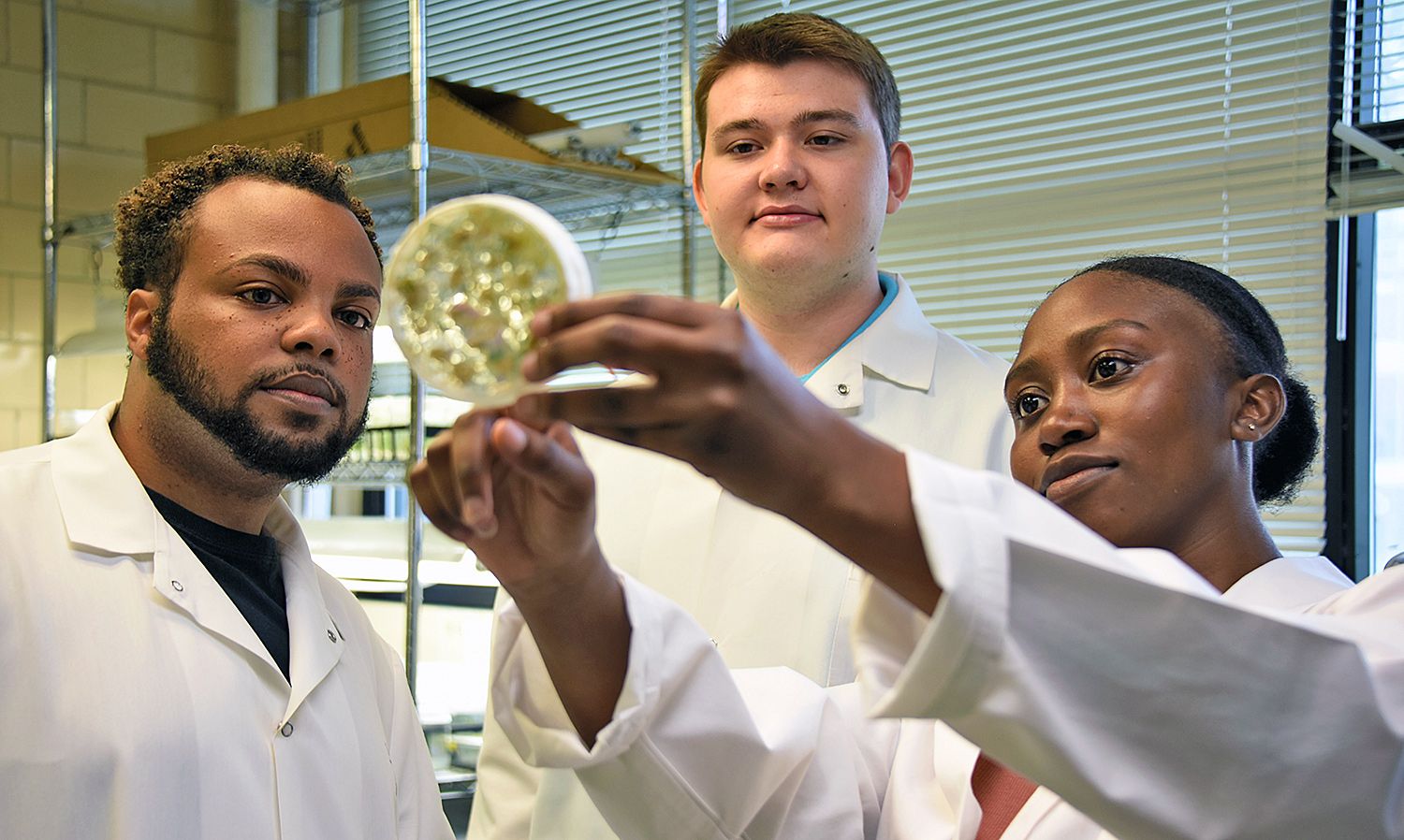 Fort Valley State University plant science-biotechnology majors Bacari Harris, Jordan Reid and Breonna Caldwell (pictured from left) put their skills to work examining a plant culture in a petri dish.