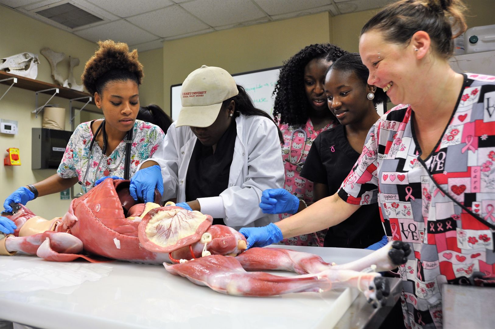 Veterinary technology student gets hand-on with a synthetic canine cadaver while her classmates and instructor look on.