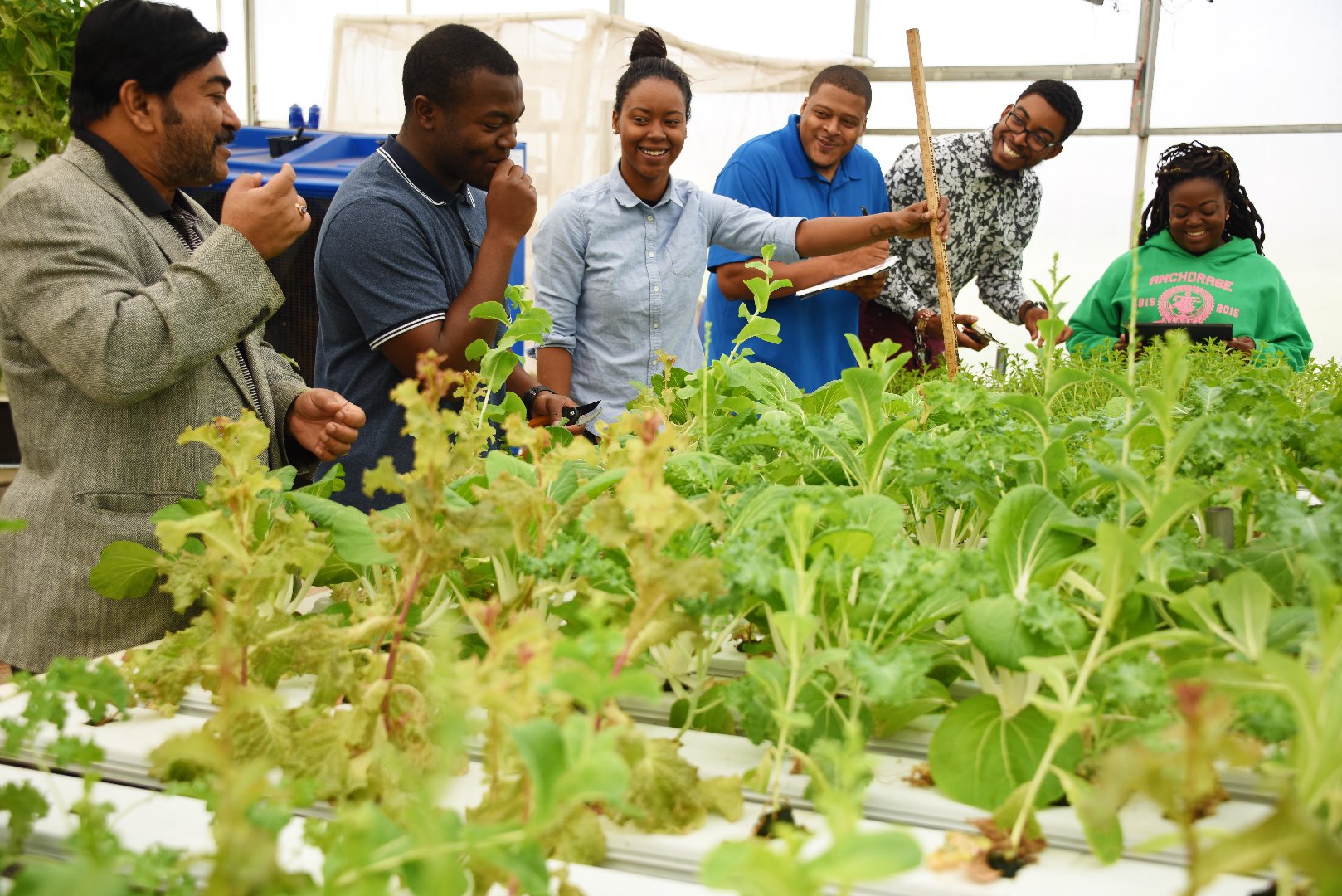 Biswas (far left) and Samuels (third from right) teach students in the biotechnology graduate program how to grow crops using various hydroponic systems.