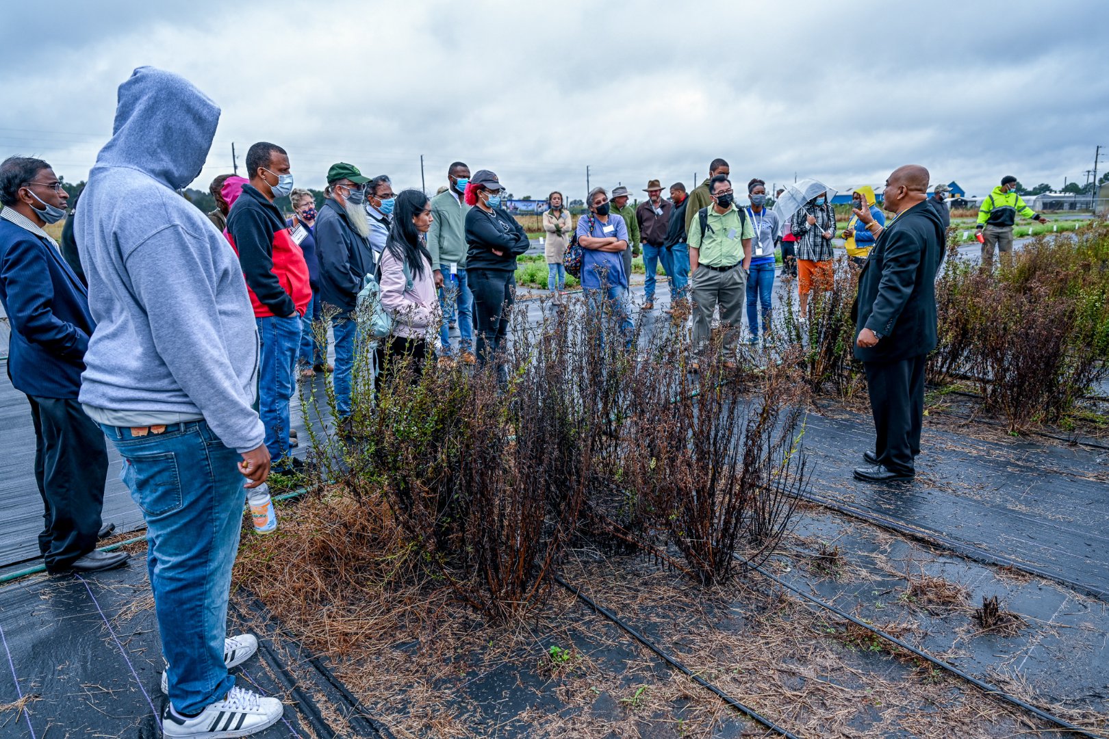 Dr. Bipul Biswas, associate professor of biotechnology, conducts a tour of the stevia field plots on FVSU’s campus.