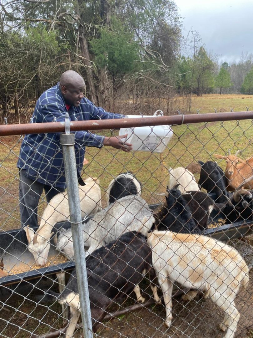 Talbot County farmer Trent DeSue (feeding goats) remains in contact with FVSU’s Talbot County Extension agent Bobby Solomon with digital technology during the COVID-19 pandemic.