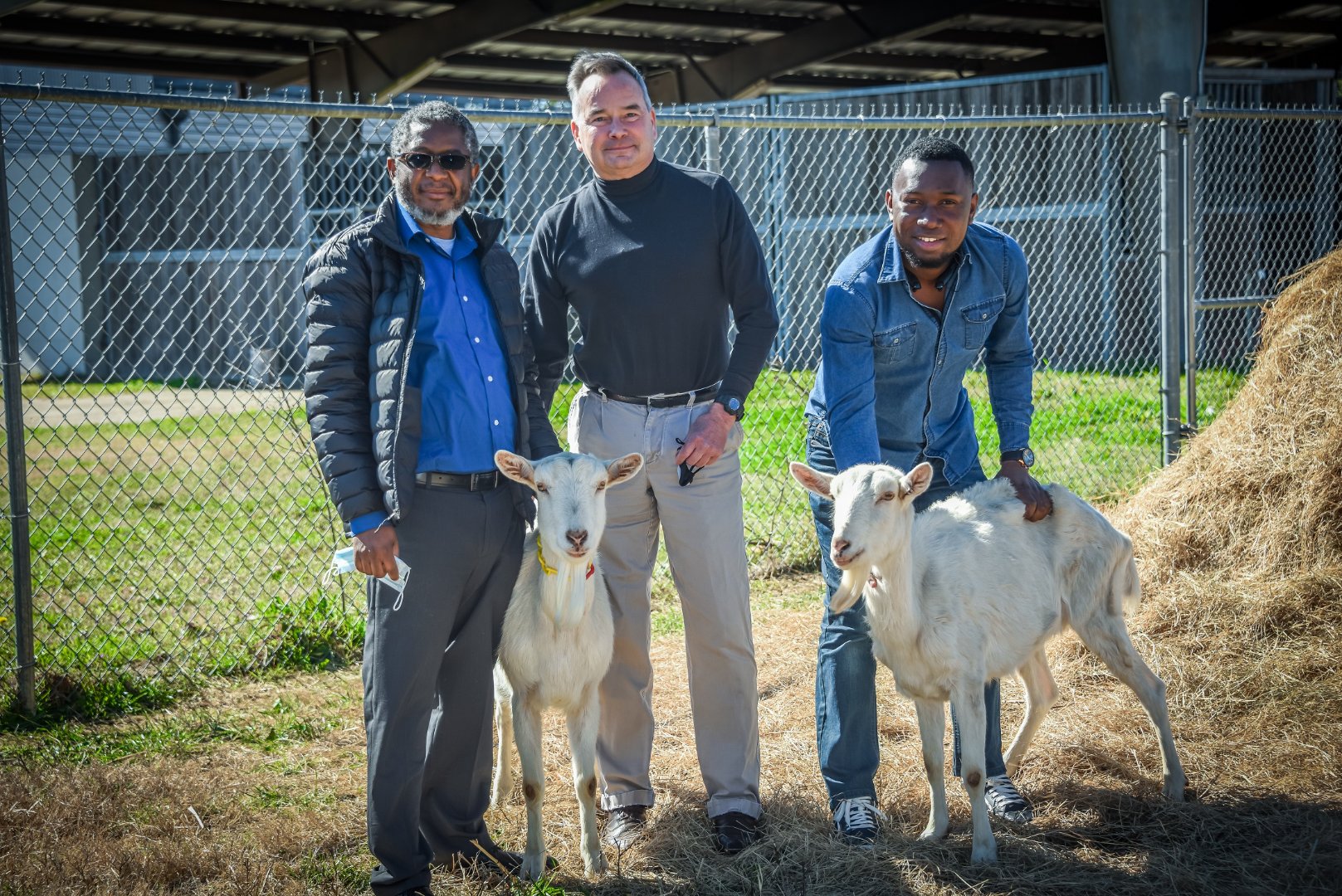 Dr. George McCommon (center), head of Fort Valley State University’s Veterinary Science Department, and his team, including veterinary science professor Dr. Saul Mofya (left) and research assistant Dr. Kingsley Kalu (right), are researching treatment options for mastitis in goats.