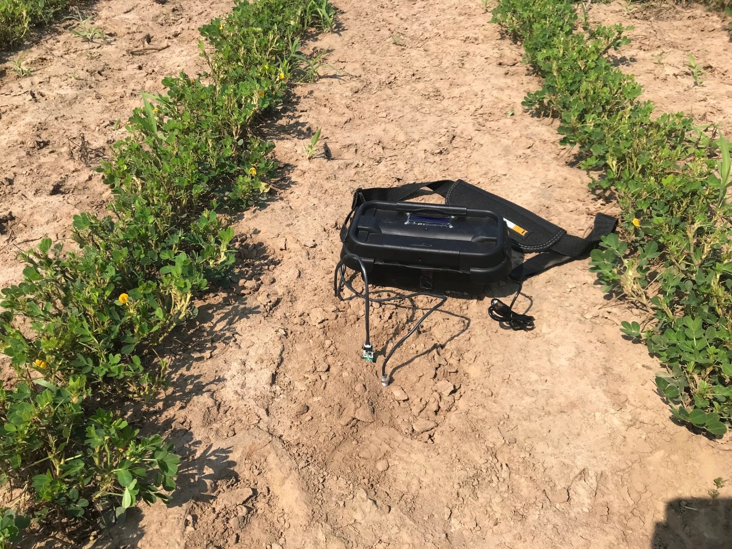 A portable integrated prototype sensing system measures and displays temperature and relative humidity of air, moisture content and temperature of soil.