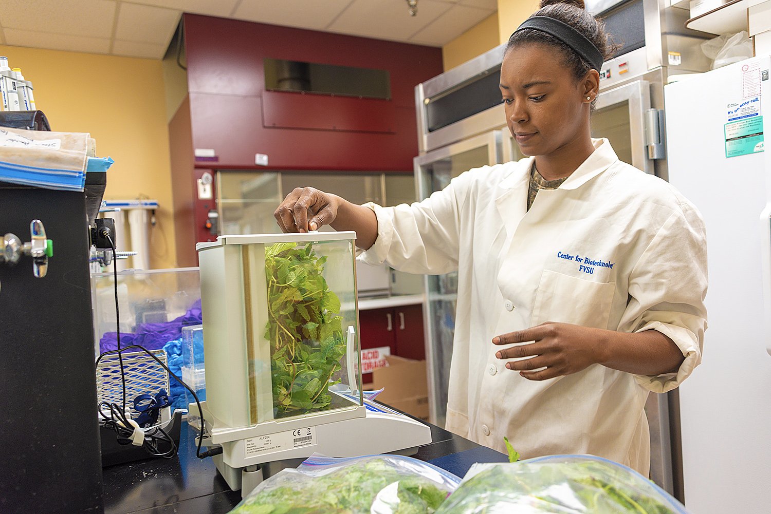 Jones weighs mint leaves, which she is growing using hydroponics.