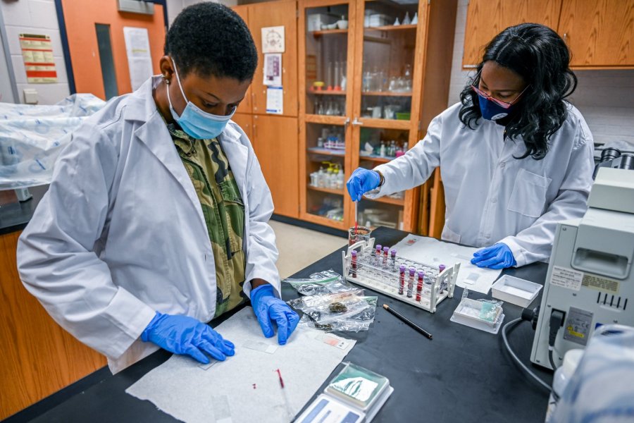 Master of Public Health students Naifsat Isa and Dr. Caroline Obi create peripheral blood smears to detect or identify the presence of anasplasmosis in white-tailed deer blood specimen from counties in Georgia.