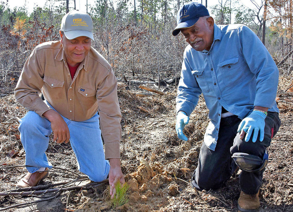 Bobby Solomon (left) Fort Valley State University’s Talbot County extension agent, discusses the growth progress of a pine tree seedling with Harrison Rucker on Rucker’s farm near Talbotton, Ga.