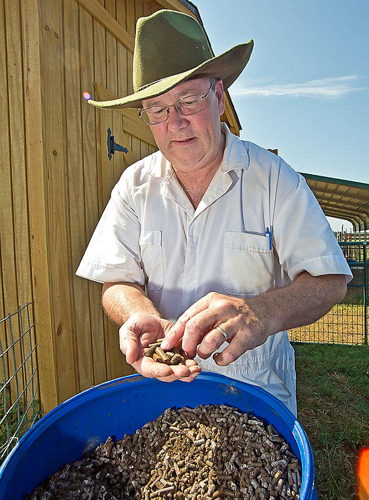 Dr. Thomas Terrill, associate professor of animal science, inspects a barrel of small ruminant feed pellets designed to combat parasites.