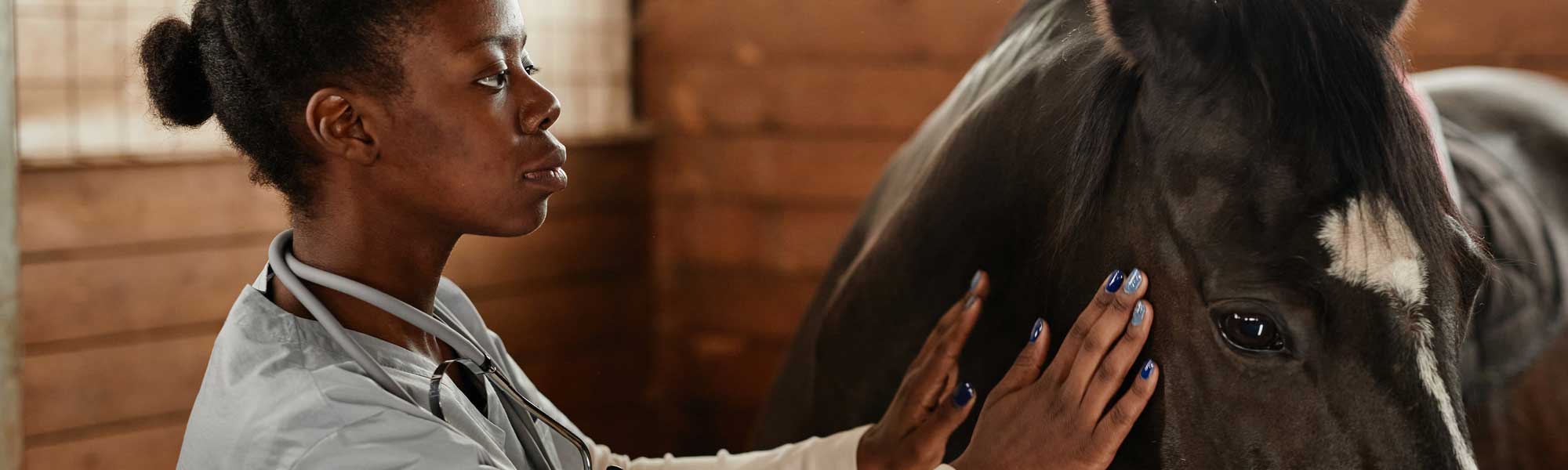 Young woman feeling the head and neck of a horse