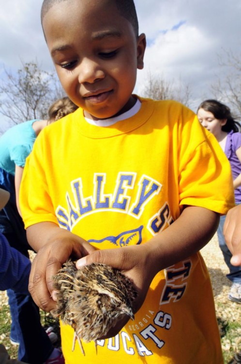 Child holding bird.