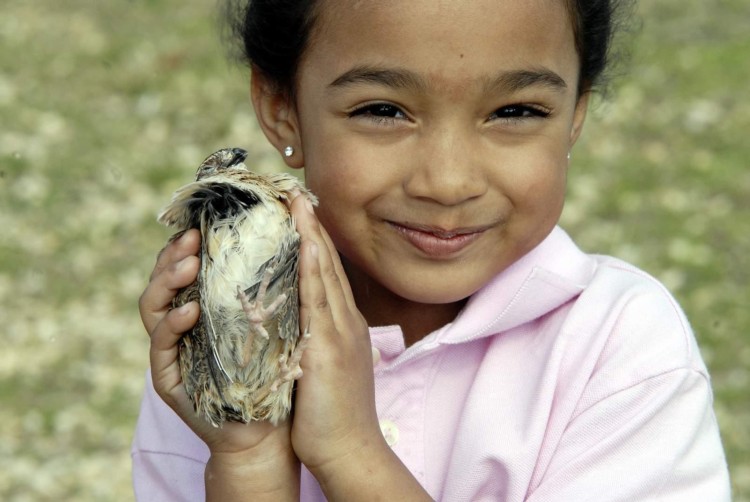 Child holding bird.