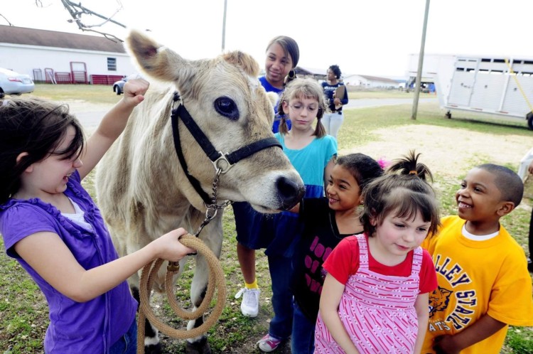 Children with cow.