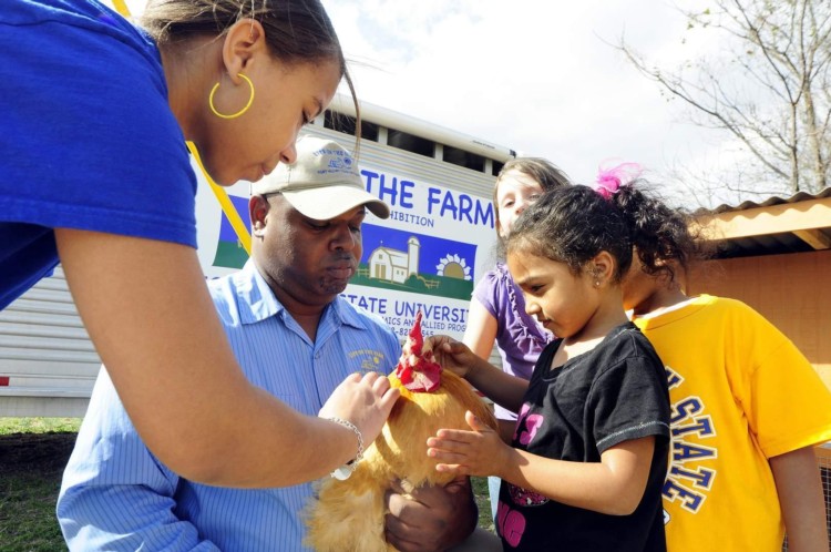 Child petting chicken.