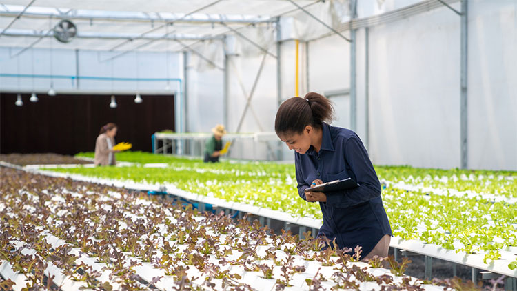 Young Lady in Greenhouse