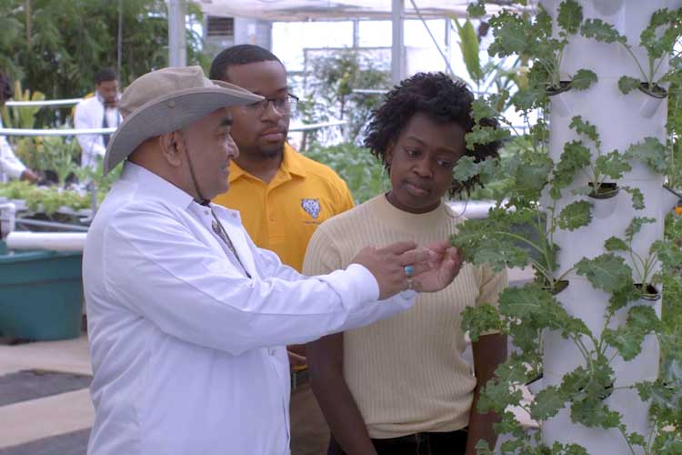 Teacher and students examining plants