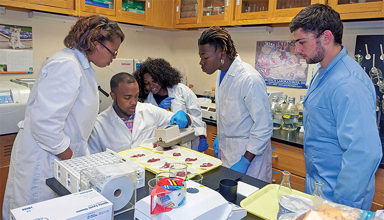 Students in lab coats testing items in dish