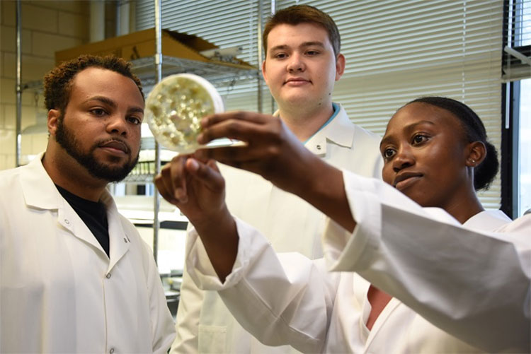 group of students inspecting petri dish